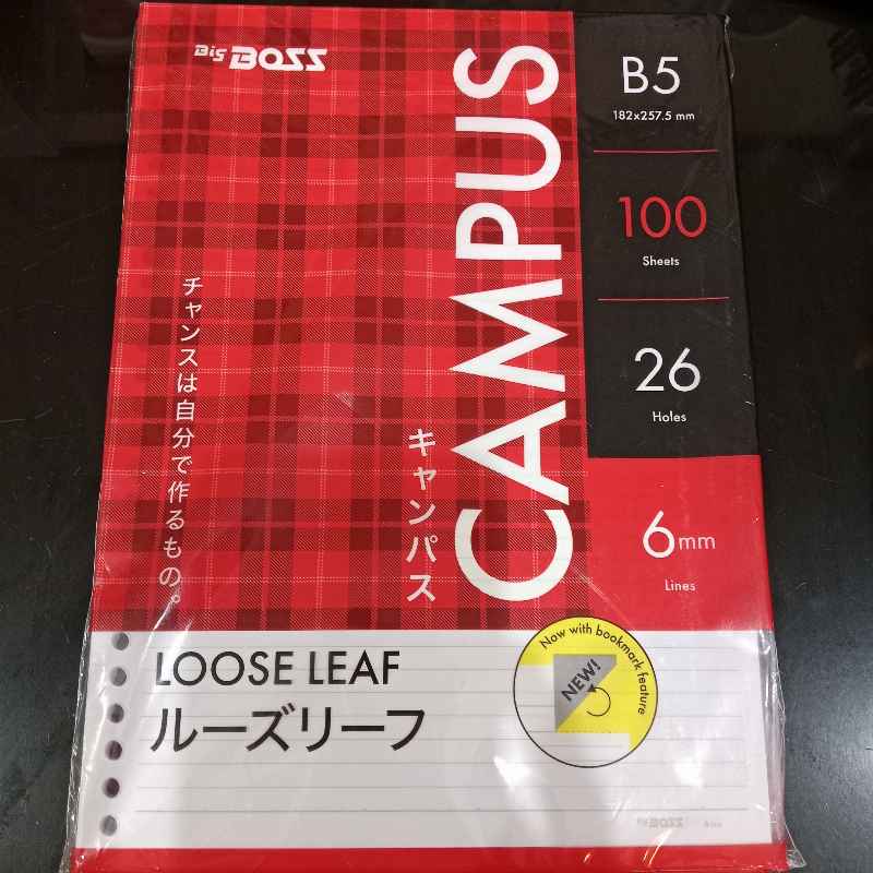Loose Leaf BIG Bergaris A5